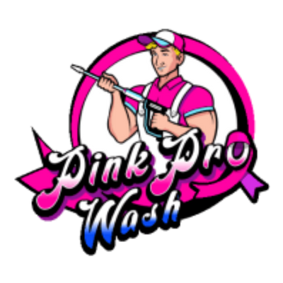 Pink Pro Wash logo