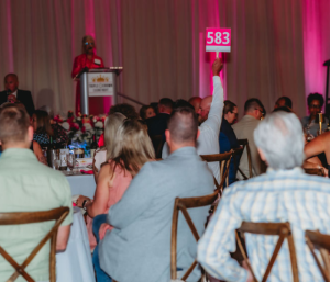 bid paddle up during program